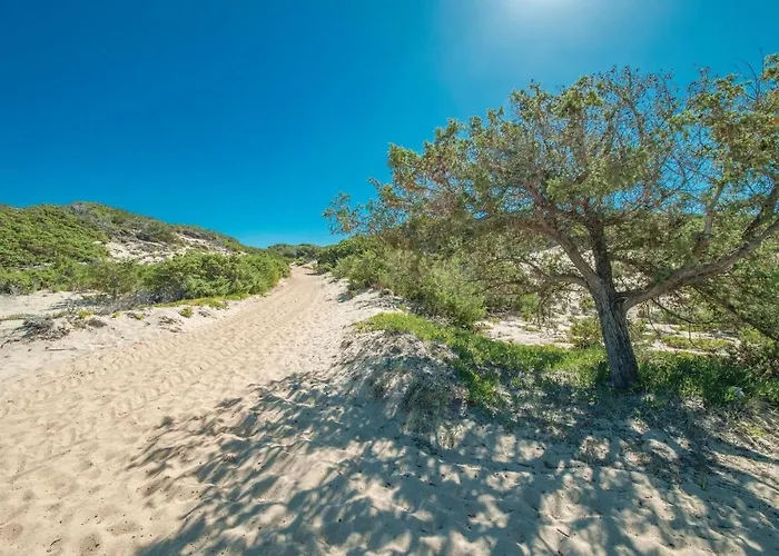 La Pietraia 2 Vakantiehuis *